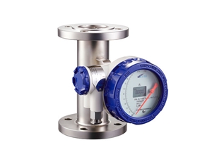 F56/P10A VA Flowmeter